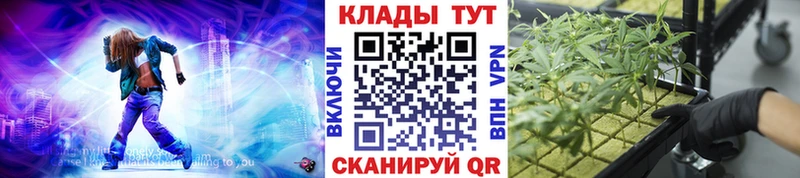Все наркотики Шадринск Гашиш  Alpha-PVP  Меф  НБОМе  Кокаин 
