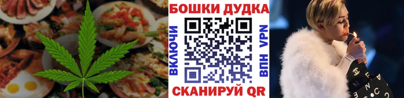 наркотики  Шадринск  hydra ONION  мориарти Telegram  Cannafood марихуана 