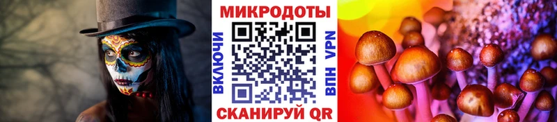 Галлюциногенные грибы мицелий  Шадринск 